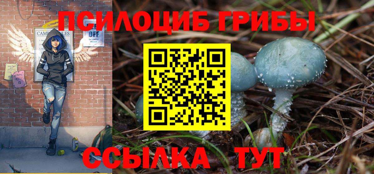 Галлюциногенные грибы мухоморы Светлоград