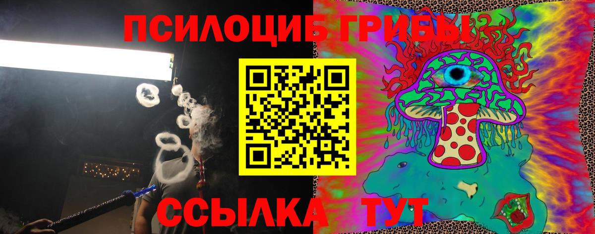 Псилоцибиновые грибы Psilocybine cubensis  Вход с VPN  Галлюциногенные грибы Magic Shrooms  Светлоград 